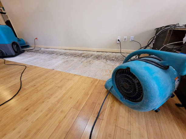 Professional Water Damage Repair technician working in Bridgewater, SD